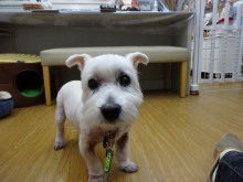 t02200165_0800060012845297674