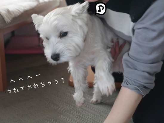 21-02-16-01-45-35-008_deco