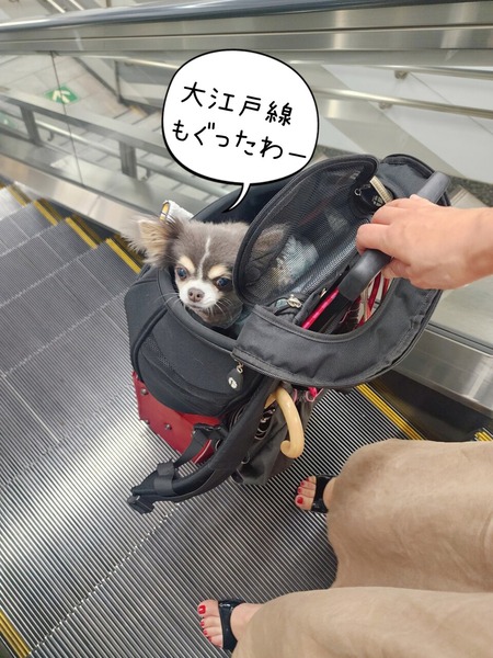 24-07-25-20-17-26-615_deco