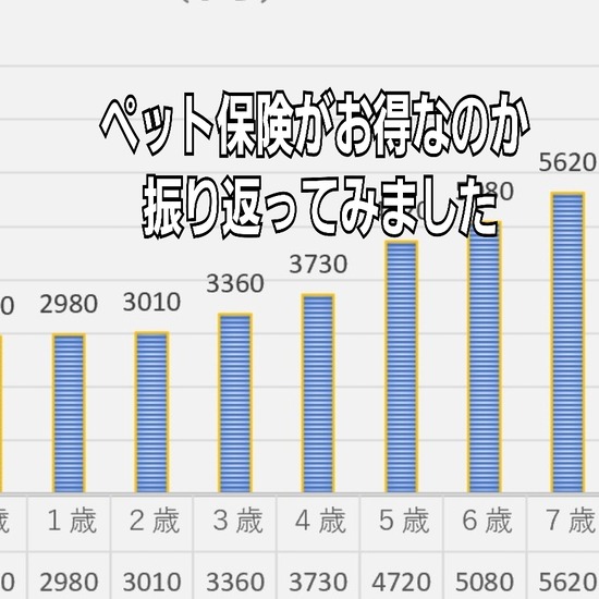 犬の保険がたっかい件