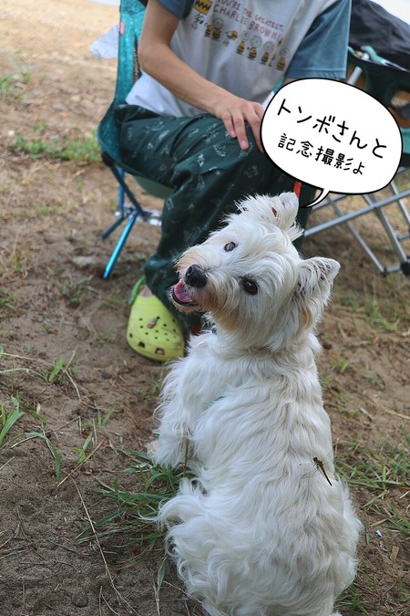 25-07-21-10-00-27-883_deco