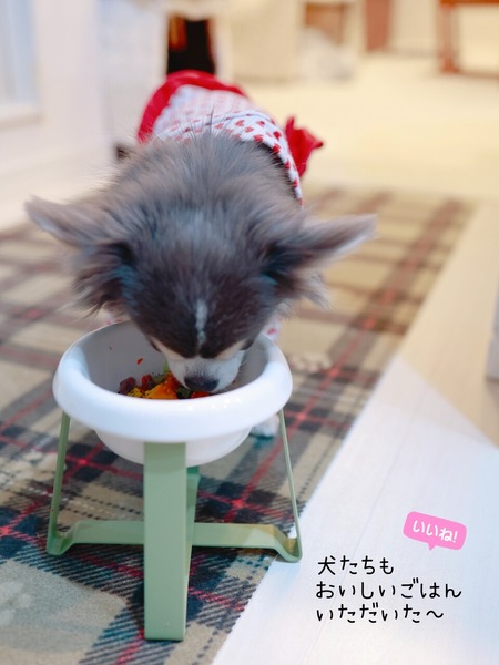 26-01-07-11-26-40-309_deco