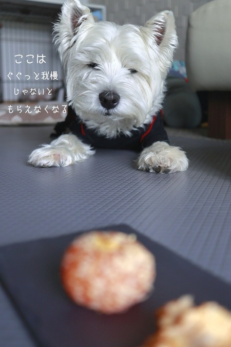 25-12-23-10-18-55-435_deco