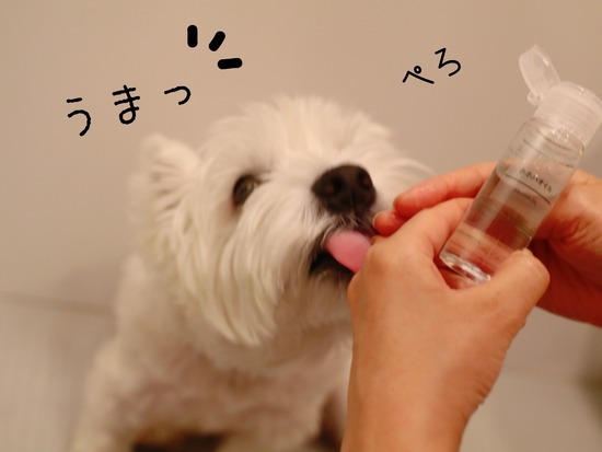 21-09-23-13-28-25-122_deco