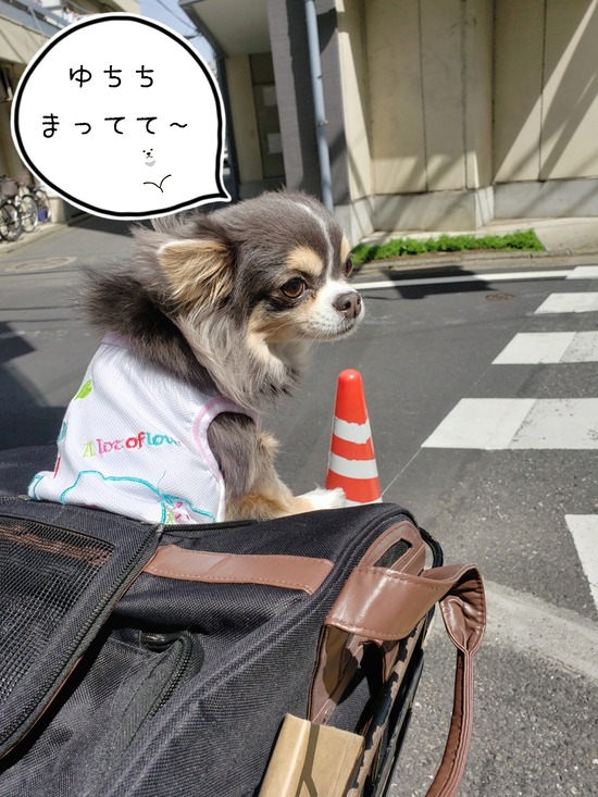 【日記】やる気に満ちていたはずなのだが