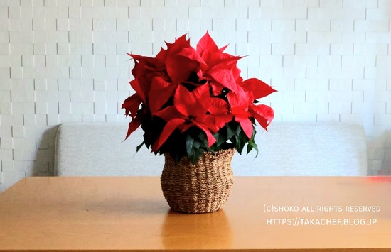 劇団四季の魔法