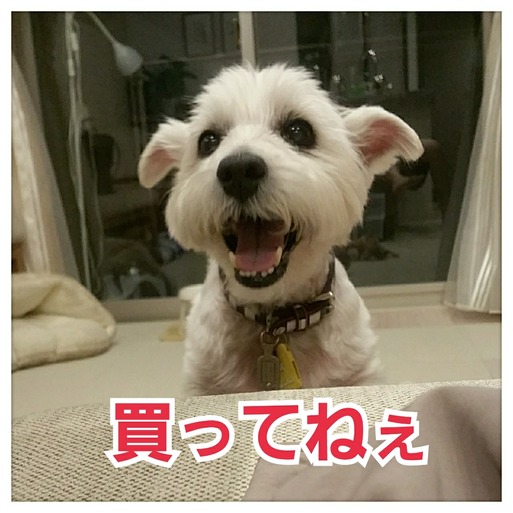 【お知らせ】ブランカをのせて頂いたカレンダー