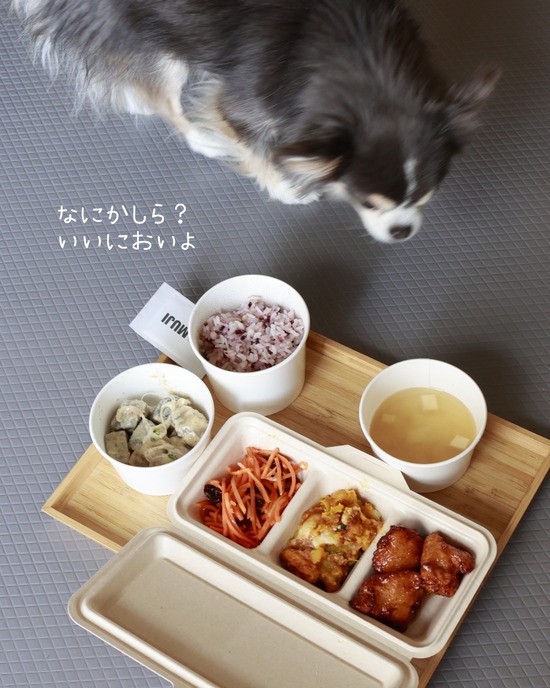 26-01-06-11-35-24-420_deco