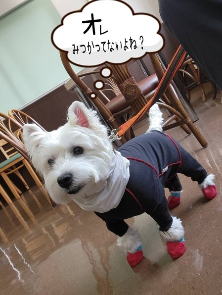 24-01-12-21-46-05-061_deco