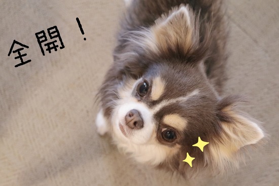 20-05-16-09-55-52-088_deco