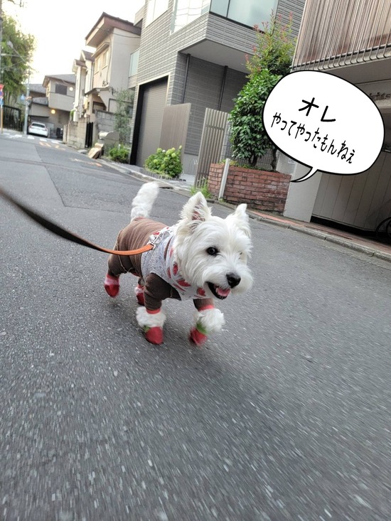 24-07-19-18-22-51-091_deco