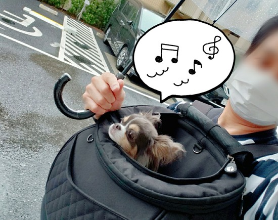 21-07-02-20-24-56-509_deco