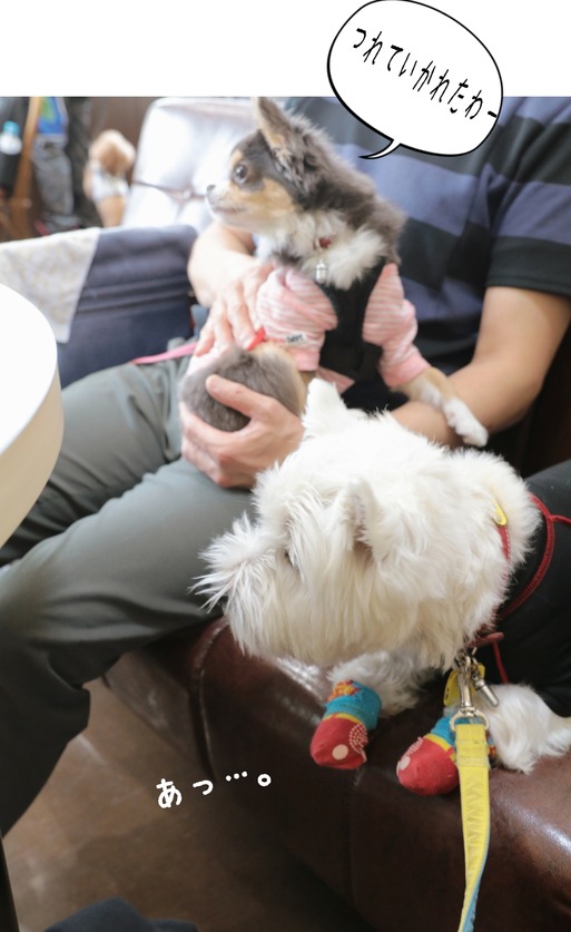 19-07-16-15-02-16-938_deco