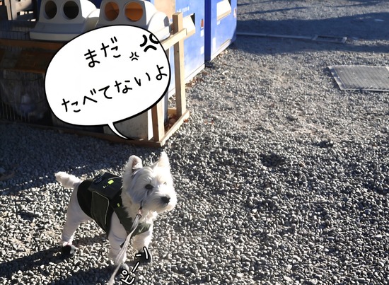 Screenshot_20251215_101352_LINE Camera