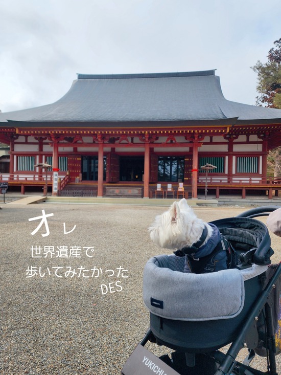 犬連れで行ける世界遺産・毛越寺｜冬の平泉と水属性の話
