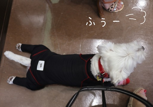 19-09-11-23-43-46-363_deco