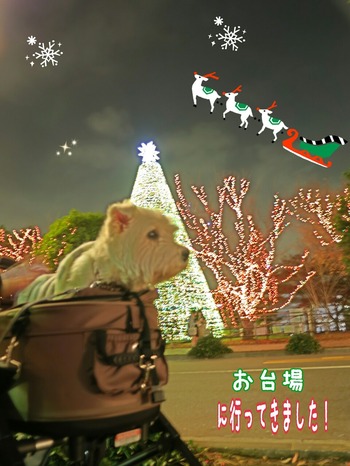 ウエスティ ブランカ