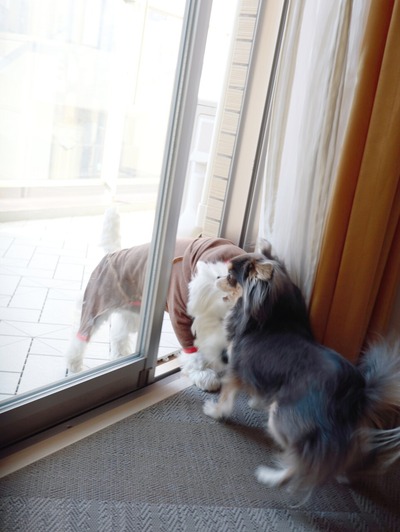 21-12-12-18-07-26-634_deco