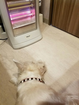 ストーブ