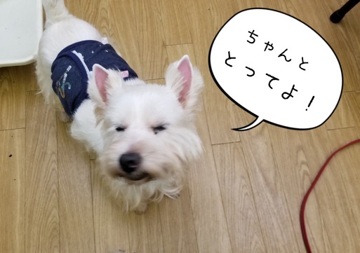 18-10-03-09-32-37-585_deco