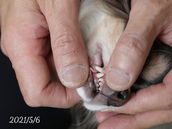 21-05-06-16-22-26-561_deco