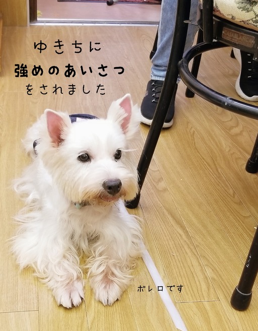 18-10-03-09-31-25-694_deco