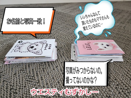 【WP2025】名刺整理という名の難関パズルに挑戦中　情報求！