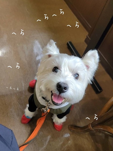 24-01-12-21-46-54-547_deco