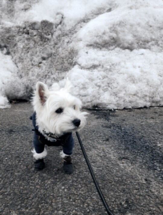 26-02-07-08-31-35-520_deco