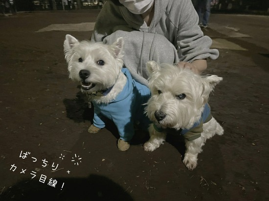 21-04-17-09-29-48-586_deco