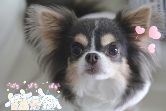 22-06-13-10-48-50-674_deco