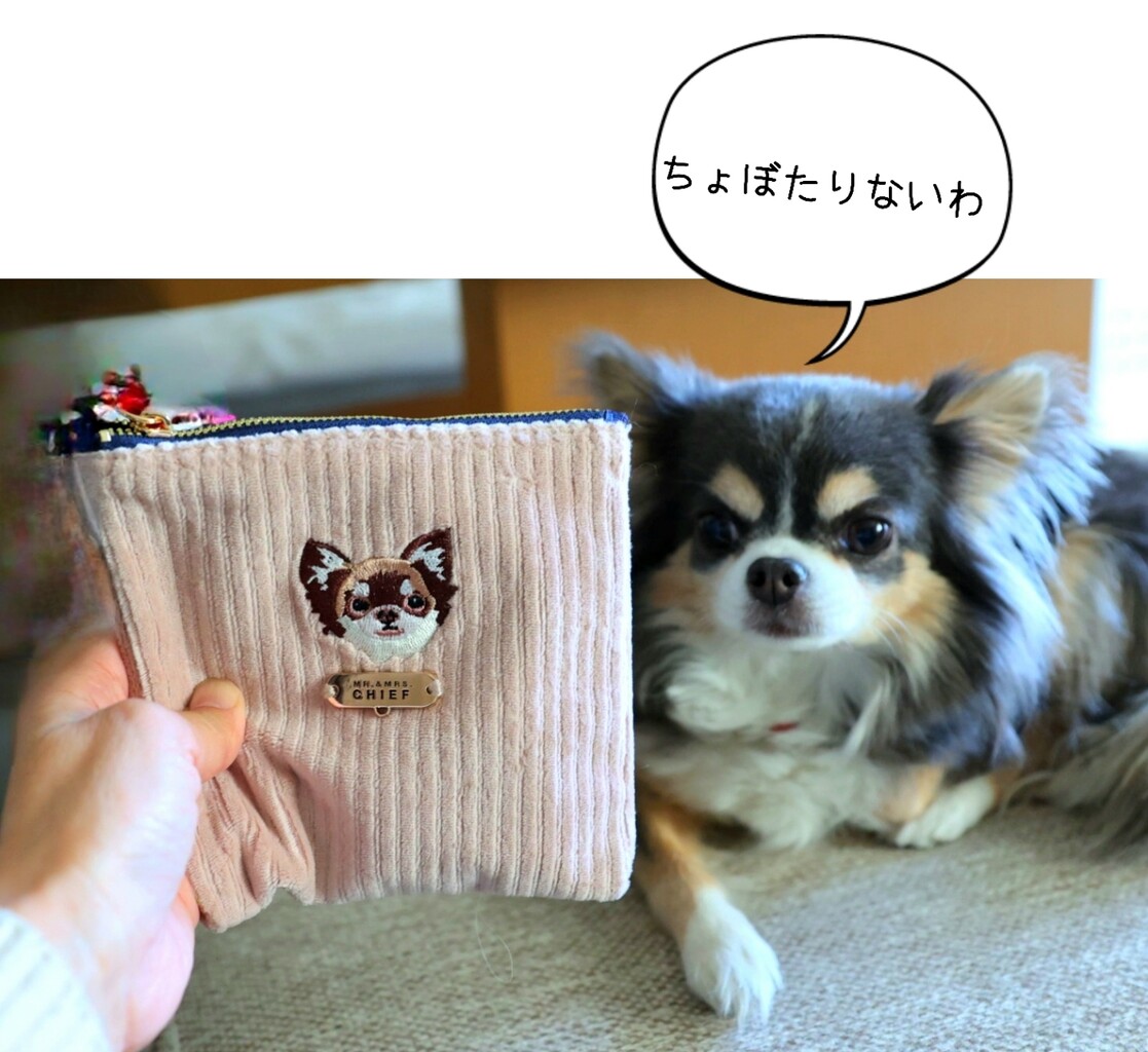 チワワグッズ】プレゼントの買い置きしてあるもの。 : たかシェフの