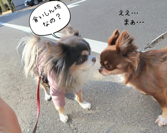 24-03-15-17-23-30-450_deco