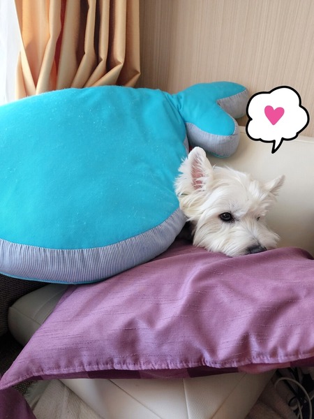 22-11-02-12-49-11-145_deco