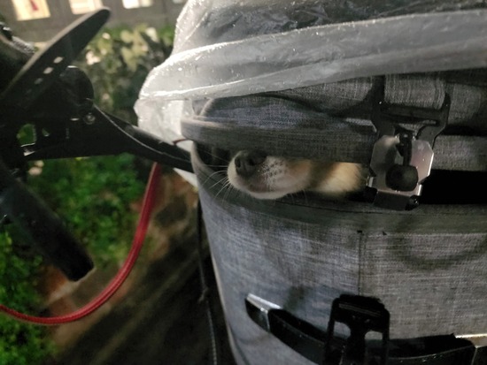 22-10-13-18-53-39-583_deco