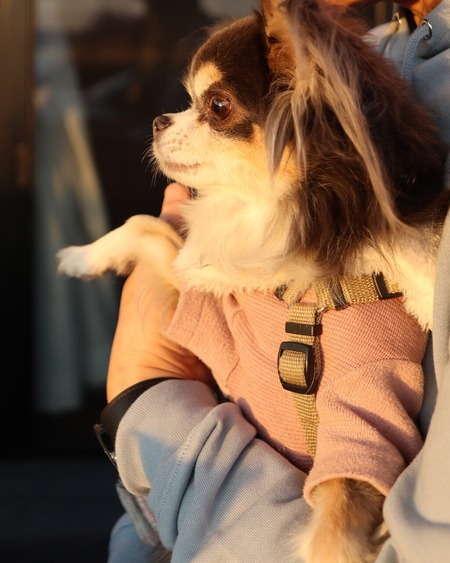 25-12-10-08-43-37-197_deco