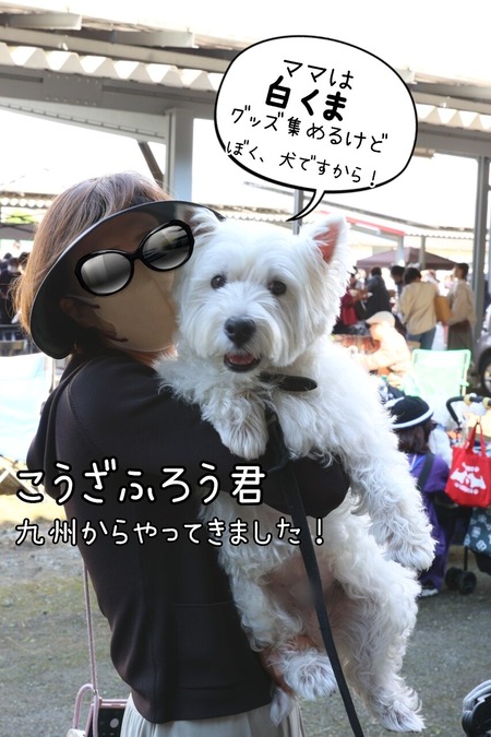 22-10-26-00-13-06-703_deco