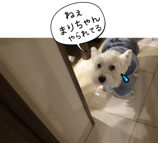 24-08-20-09-59-02-134_deco