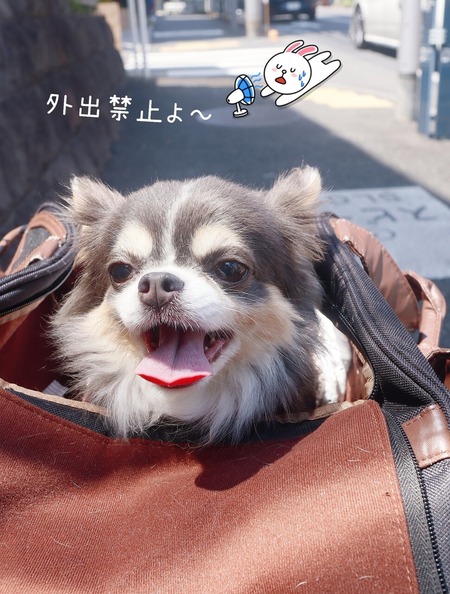 24-07-18-14-11-35-031_deco