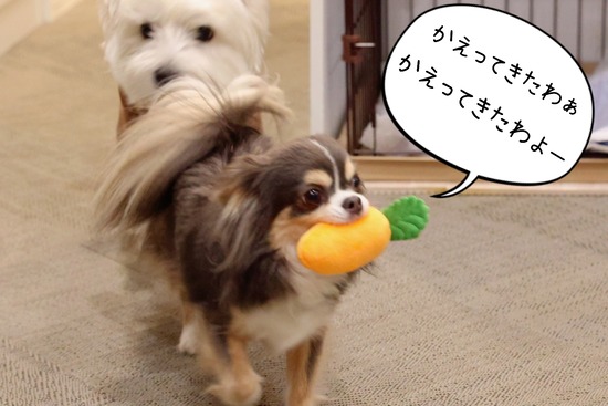 22-05-14-10-16-49-236_deco