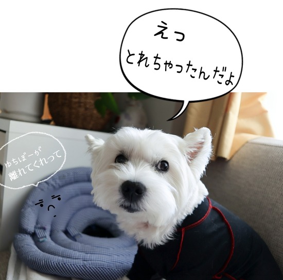 25-01-12-12-21-27-859_deco