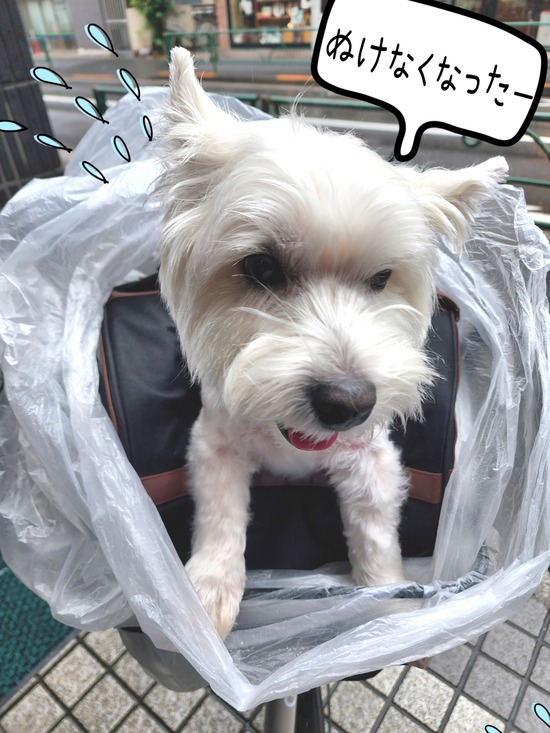 はさまっちゃったカバンから脱出。ヘタレ力を生かして（笑）