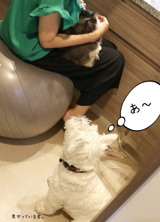 24-07-09-07-20-25-391_deco