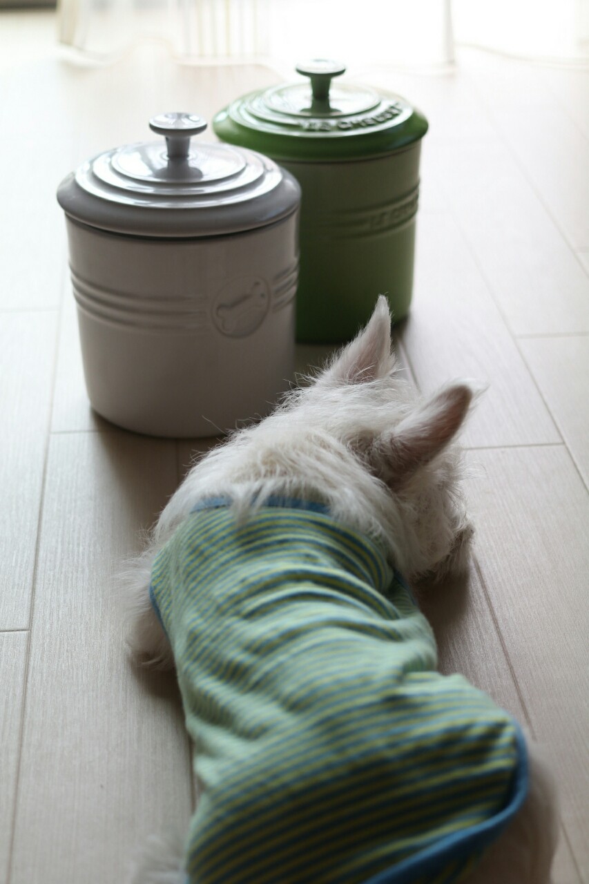 ルクルーゼのペットフードコンテナー たかシェフのおうちごはん と 白い犬 と チワワ Powered By ライブドアブログ ルクルーゼのペットフードコンテナー たかシェフのおうちごはん と 白い犬 と チワワ Powered By ライブドアブログ