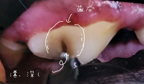 21-06-02-22-48-46-203_deco