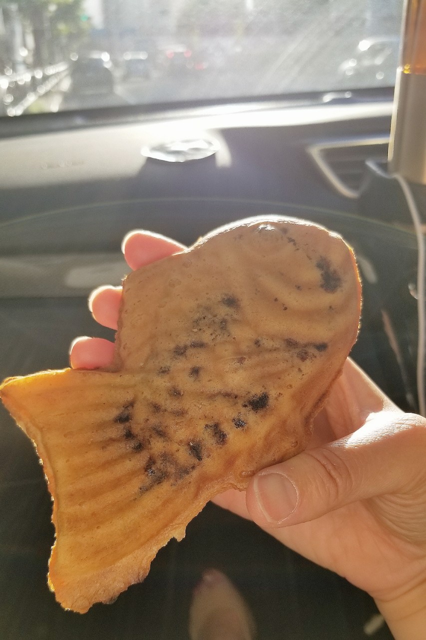 チワワ 鯛焼きが欲しい犬 たかシェフのおうちごはん と 白い犬 と チワワ Powered By ライブドアブログ チワワ 鯛焼きが欲しい犬 たかシェフのおうちごはん と 白い犬 と チワワ Powered By ライブドアブログ