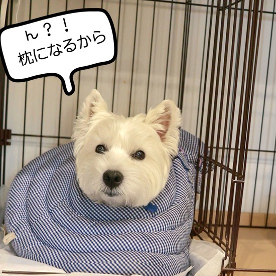 25-01-12-12-26-33-155_deco