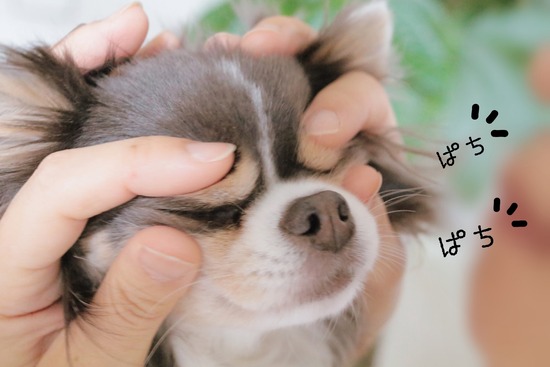 20-05-16-09-52-45-056_deco