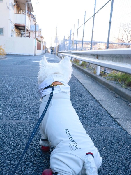 23-02-05-20-50-00-936_deco