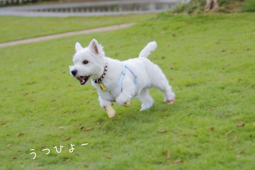 18-10-01-19-07-29-670_deco